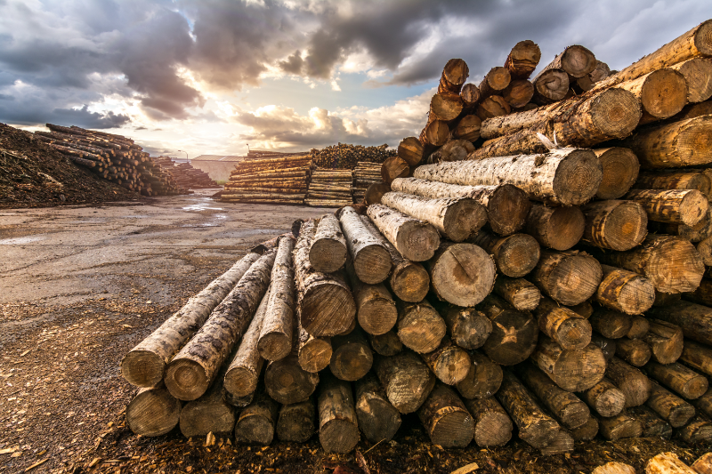 The Lumber Shortage and Controlling Your Building Costs | Aegis Market